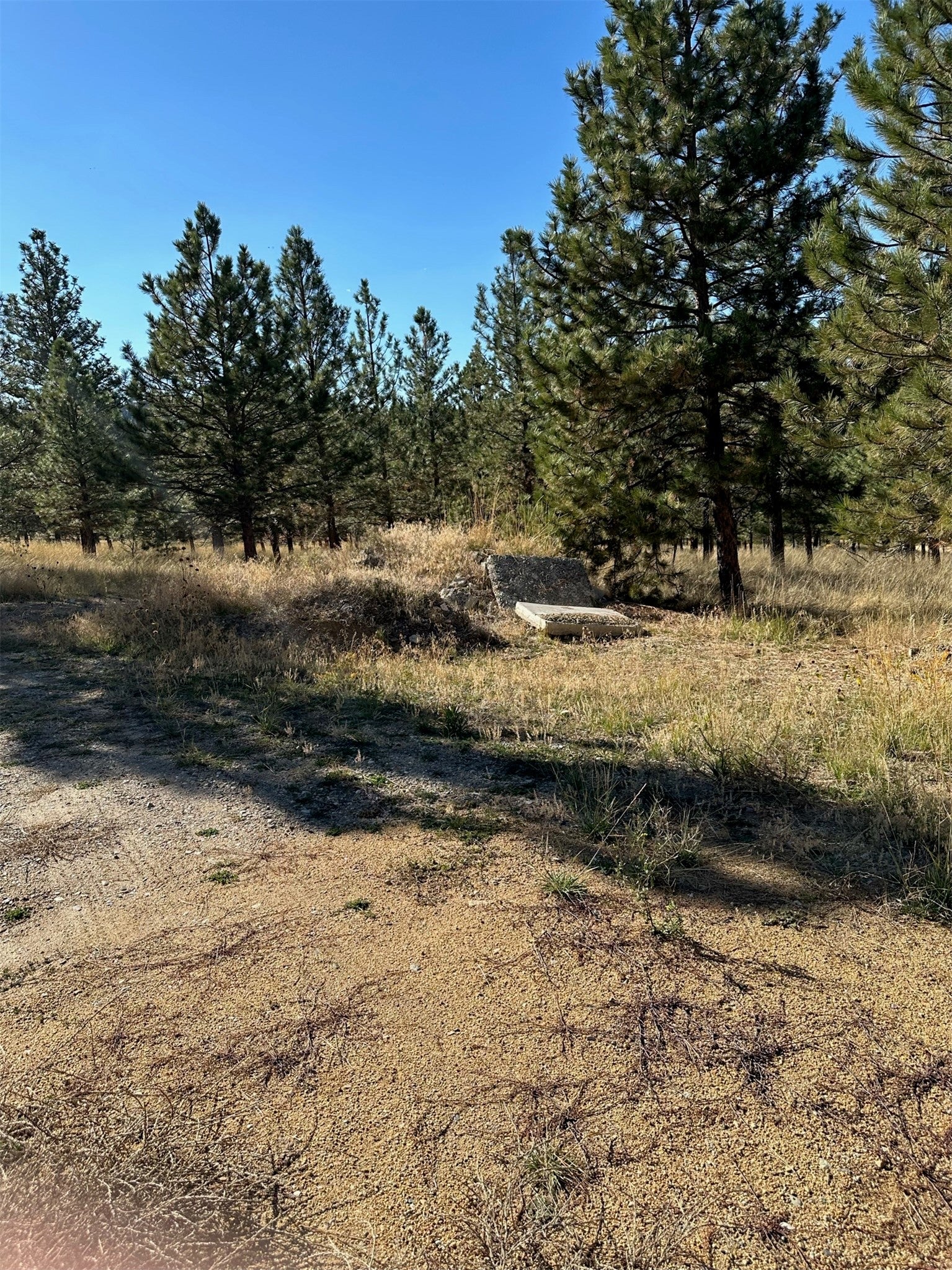 000 Reber Road