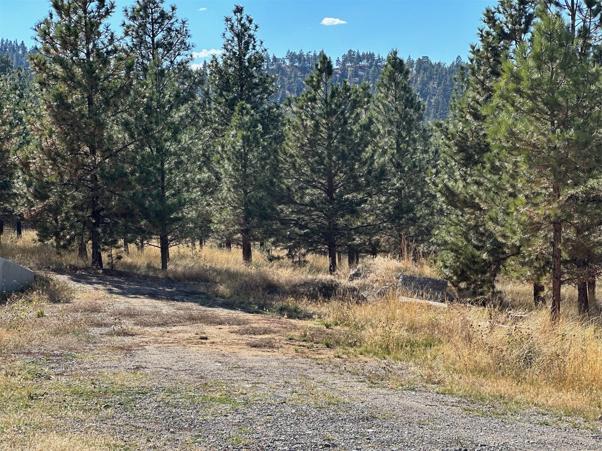 000 Reber Road
