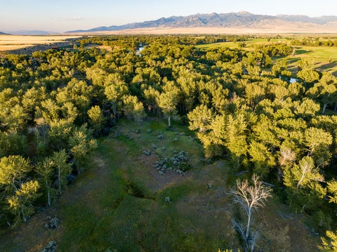 Tiny photo for 323 Melrose Road, Twin Bridges, MT 59754 (MLS # 30074972)