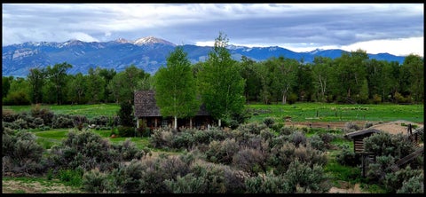 Tiny photo for 323 Melrose Road, Twin Bridges, MT 59754 (MLS # 30074972)