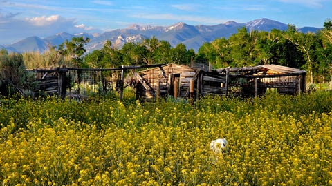 Tiny photo for 323 Melrose Road, Twin Bridges, MT 59754 (MLS # 30074972)