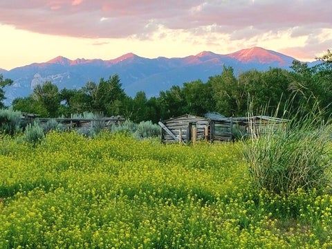 Tiny photo for 323 Melrose Road, Twin Bridges, MT 59754 (MLS # 30074972)