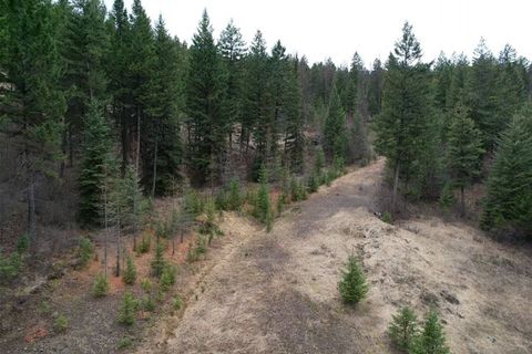 Photo of TBD Bent Pine Lane, Kila, MT 59920 (MLS # 30069090)