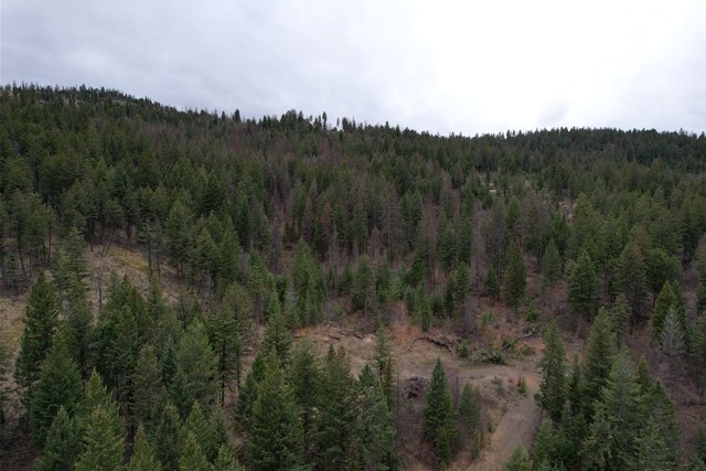 TBD Bent Pine Lane