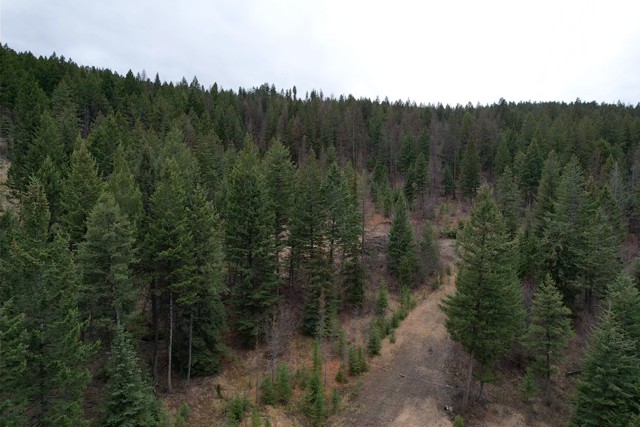 TBD Bent Pine Lane