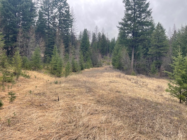 TBD Bent Pine Lane