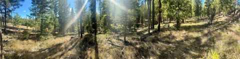 Tiny photo for 000 Bhong Lane, Marion, MT 59925 (MLS # 30035090)