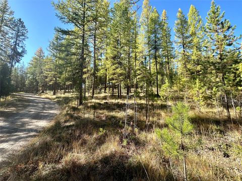 Tiny photo for 000 Bhong Lane, Marion, MT 59925 (MLS # 30035090)
