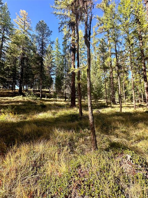 Tiny photo for 000 Bhong Lane, Marion, MT 59925 (MLS # 30035090)