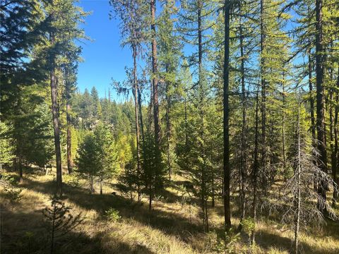 Tiny photo for 000 Bhong Lane, Marion, MT 59925 (MLS # 30035090)