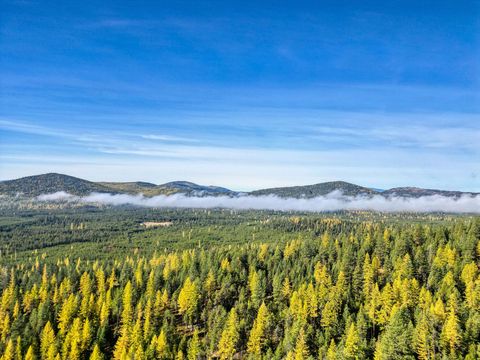 Tiny photo for 000 Bhong Lane, Marion, MT 59925 (MLS # 30035090)