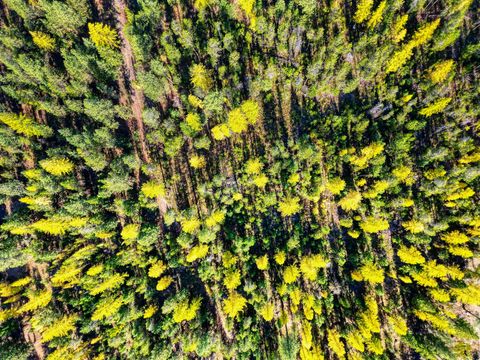 Tiny photo for 000 Bhong Lane, Marion, MT 59925 (MLS # 30035090)