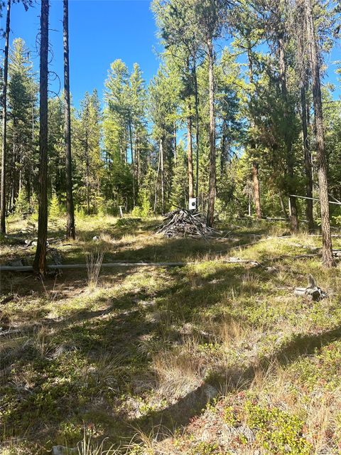 Tiny photo for 000 Bhong Lane, Marion, MT 59925 (MLS # 30035090)