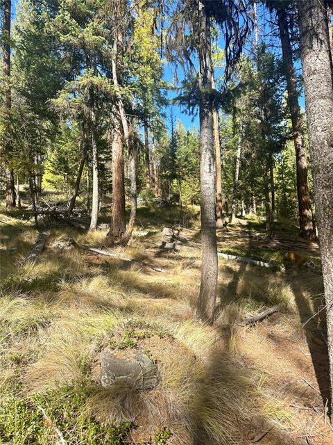 Tiny photo for 000 Bhong Lane, Marion, MT 59925 (MLS # 30035090)