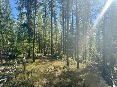 Tiny photo for 000 Bhong Lane, Marion, MT 59925 (MLS # 30035090)
