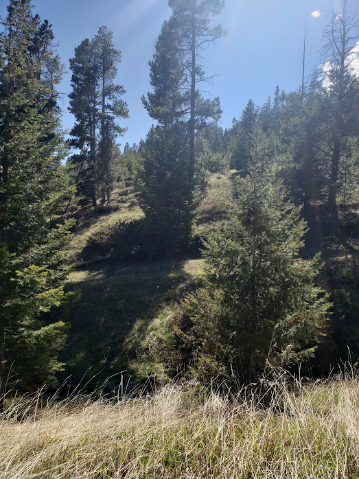 sec 28 T08NR08E HEITMAN 5.11 ACRES