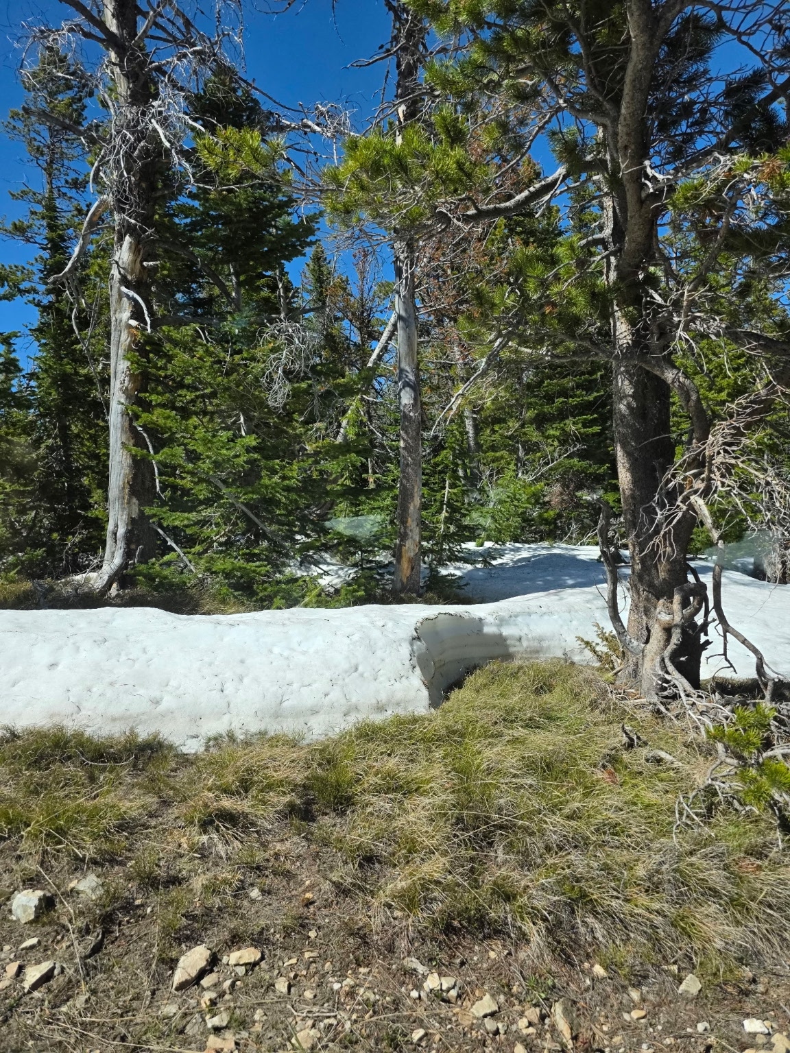 sec 28 T08NR08E HEITMAN 5.11 ACRES
