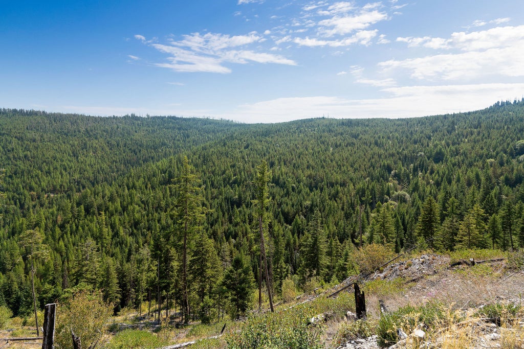 Photo of Nhn Idaho Hill Road, Marion, MT 59925 (MLS # 30077862)