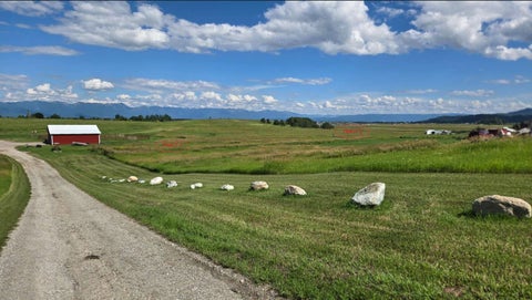 Photo of 541 Valley View Drive, Kalispell, MT 59901 (MLS # 30075635)