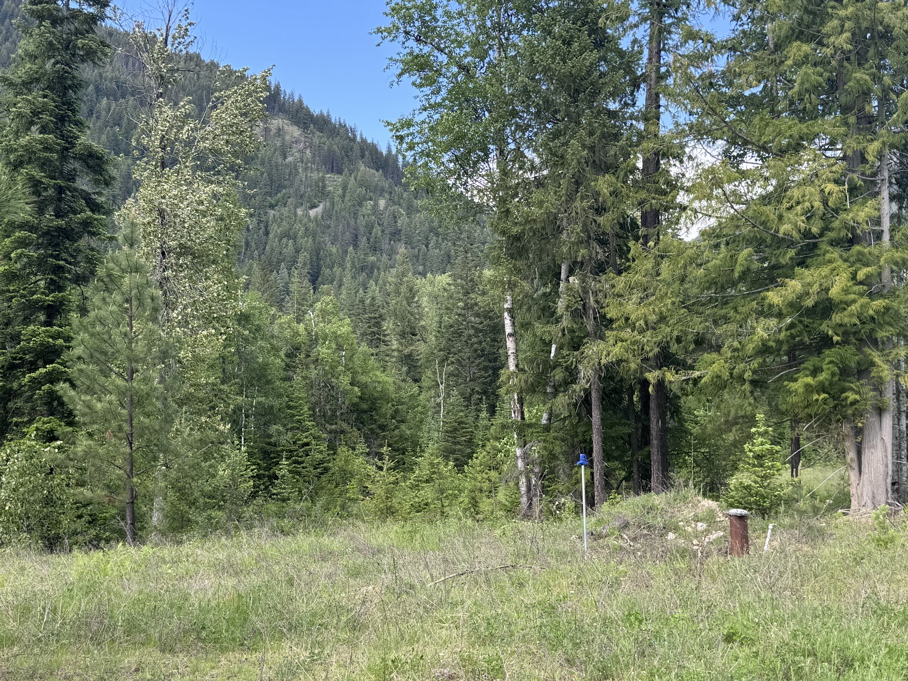 Heron, Montana 59844, United States, ,Commercial,Active,147248