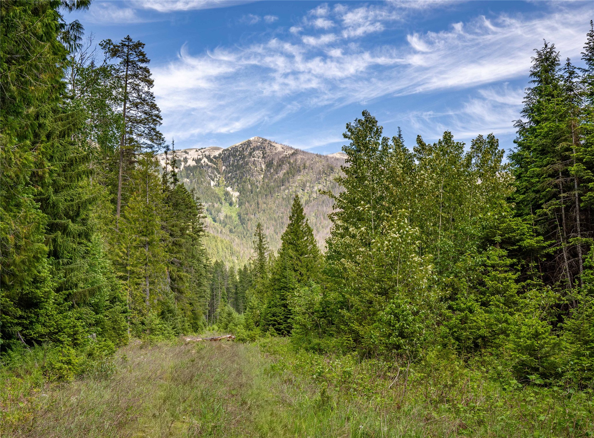 Heron, Montana 59844, United States, ,Commercial,Active,147248