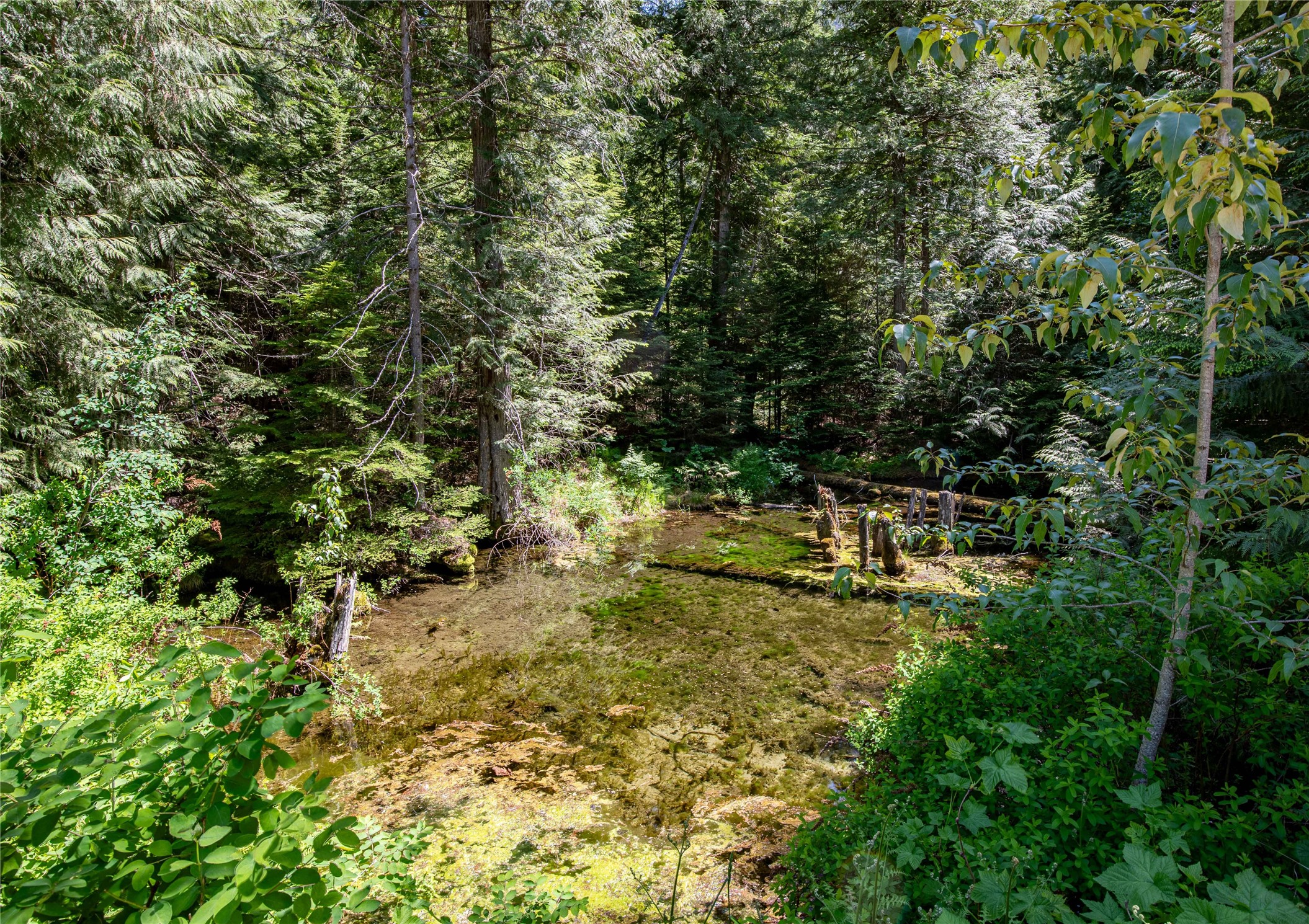 Heron, Montana 59844, United States, ,Commercial,Active,147248