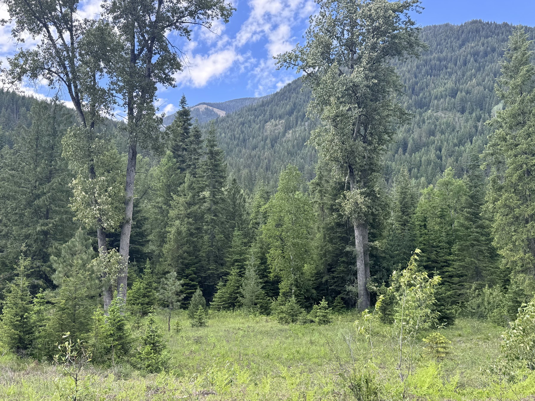 Heron, Montana 59844, United States, ,Commercial,Active,147248