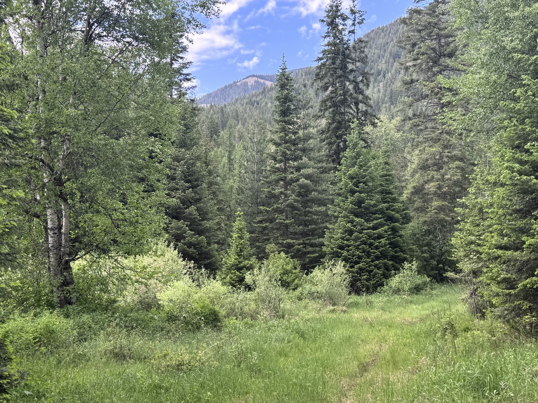 Heron, Montana 59844, United States, ,Commercial,Active,147248