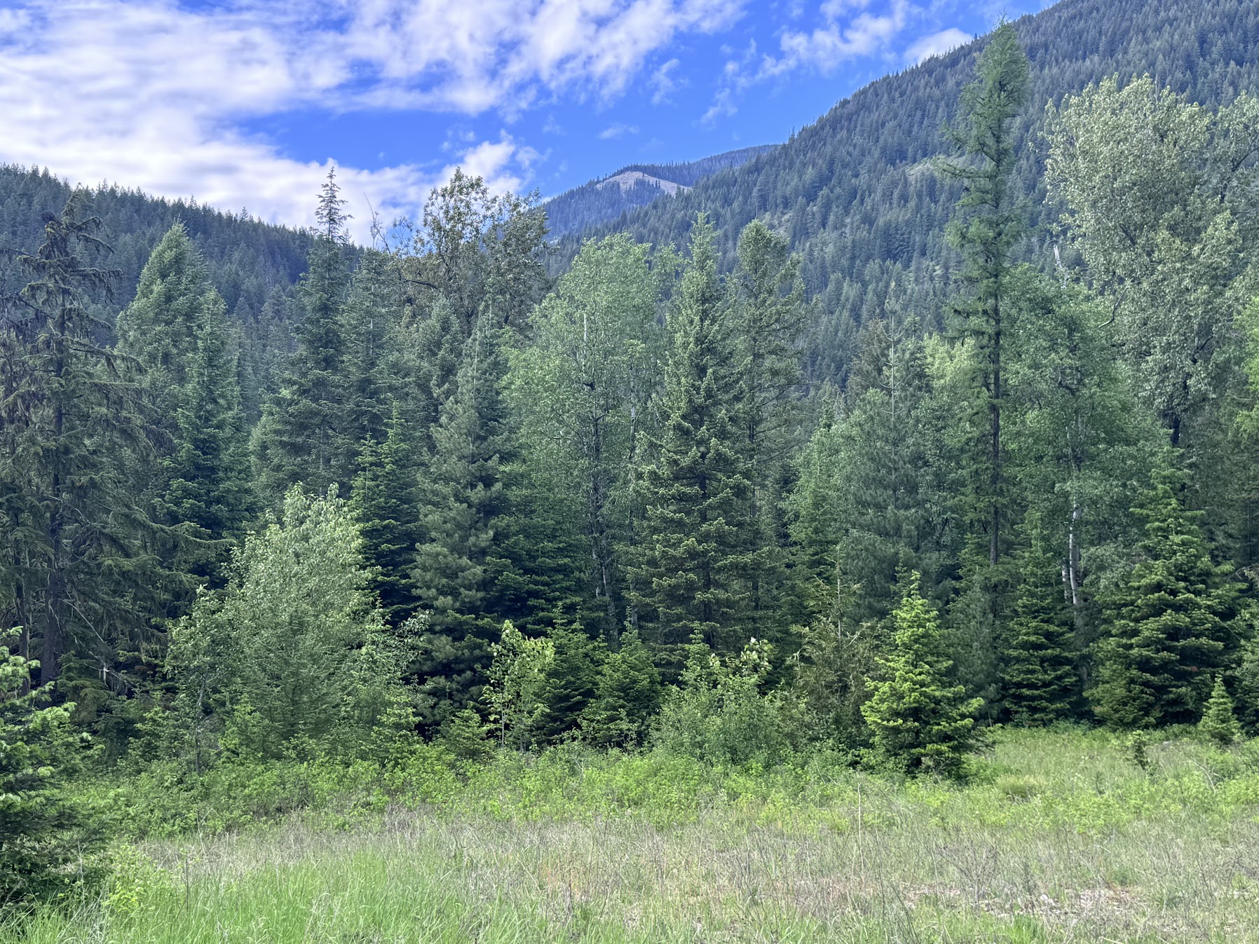 Heron, Montana 59844, United States, ,Commercial,Active,147248