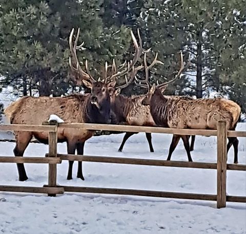 5 Alpine Valley Lane Clancy MT 59634