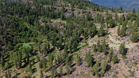 Tiny photo for NHN TRACT 2 & TRACT 3, Plains, MT 59859 (MLS # 30073896)