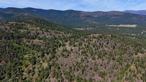 Tiny photo for NHN TRACT 2 & TRACT 3, Plains, MT 59859 (MLS # 30073896)