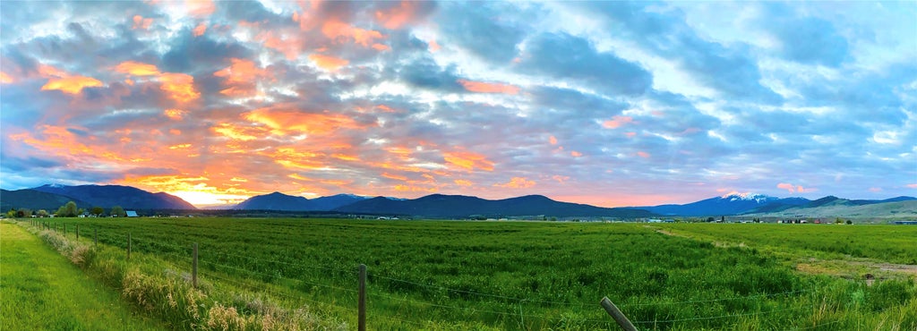 Photo of NHN Picea Place, Plains, MT 59859 (MLS # 30078855)