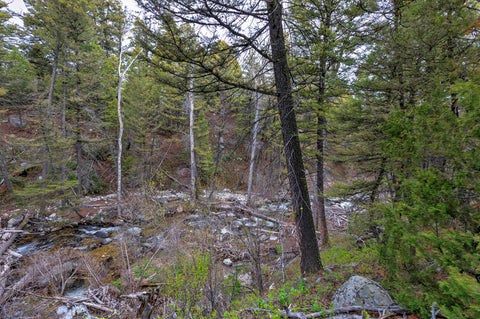 Tiny photo for 958 Pauly Drive, Deer Lodge, MT 59722 (MLS # 30072950)