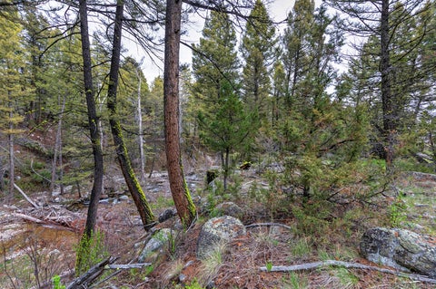 Tiny photo for 958 Pauly Drive, Deer Lodge, MT 59722 (MLS # 30072950)