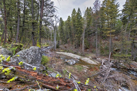 Tiny photo for 958 Pauly Drive, Deer Lodge, MT 59722 (MLS # 30072950)