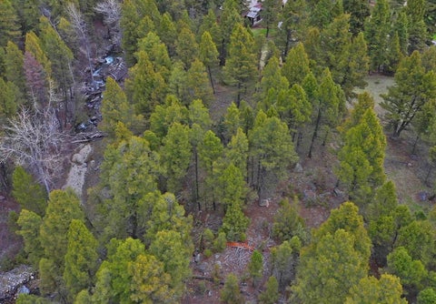 Tiny photo for 958 Pauly Drive, Deer Lodge, MT 59722 (MLS # 30072950)