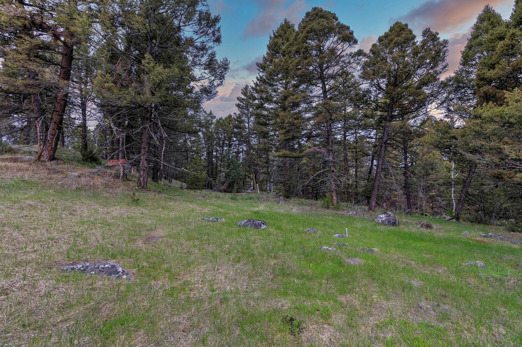 958 Pauly Drive