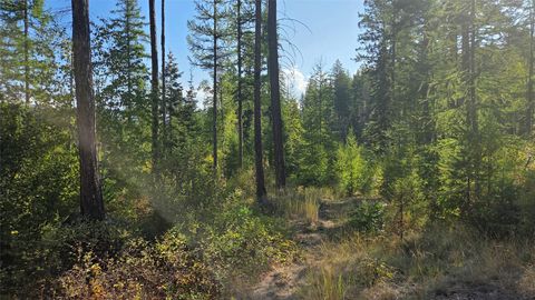 Photo of NHN North Fork Road, Polebridge, MT 59928 (MLS # 30060024)