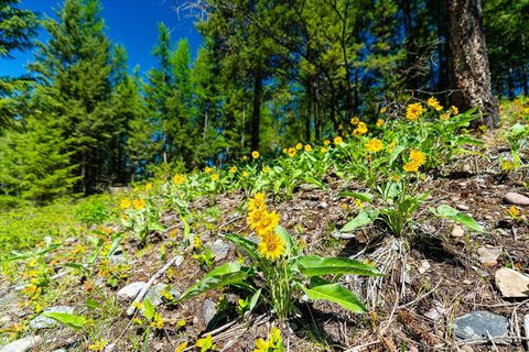 Tiny photo for 31 Wild Turkey Lane, Kalispell, MT 59901 (MLS # 30053635)