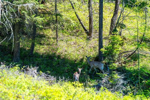 Tiny photo for 31 Wild Turkey Lane, Kalispell, MT 59901 (MLS # 30053635)