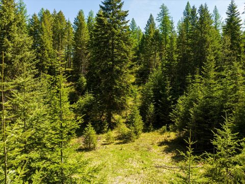 Tiny photo for 31 Wild Turkey Lane, Kalispell, MT 59901 (MLS # 30053635)