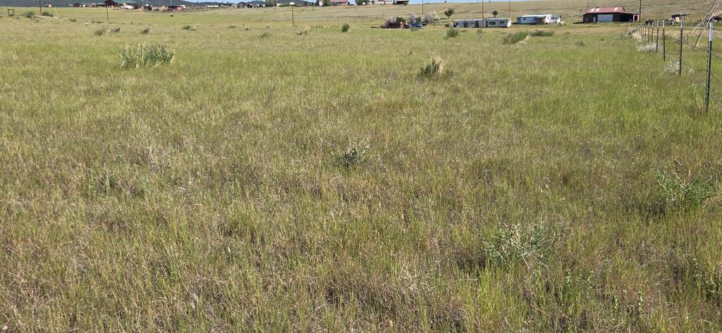 Photo of TBD Lone Pine Road, Helena, MT 59602 (MLS # 30053209)