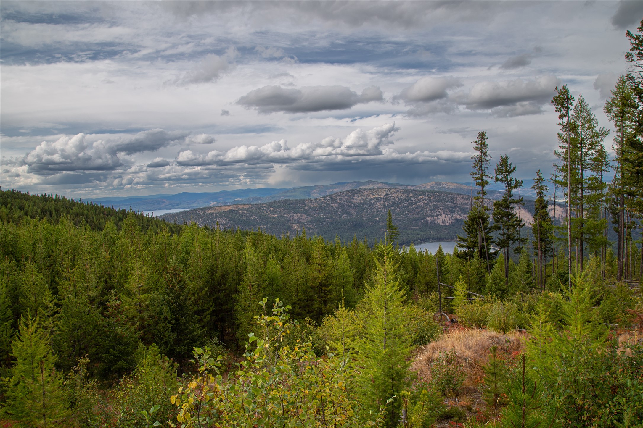 NHN Haskill Mountain Ranch Road