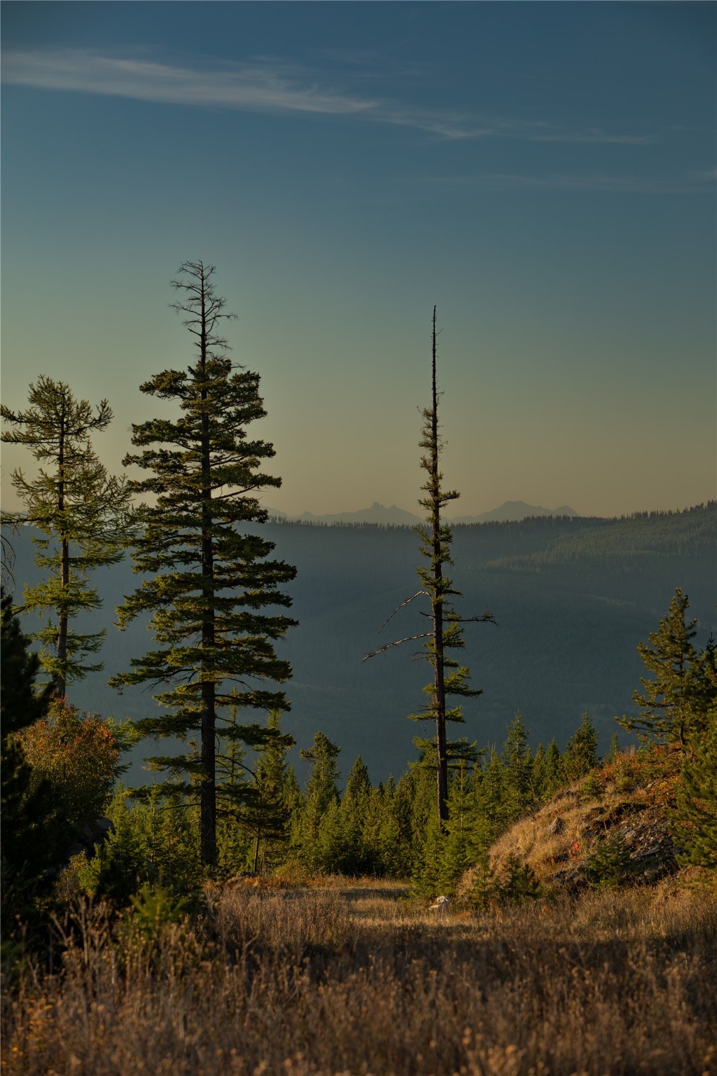 NHN Haskill Mountain Ranch Road