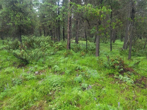 Photo of 104 Lone Wolf Trail, Yaak, MT 59935 (MLS # 30073944)