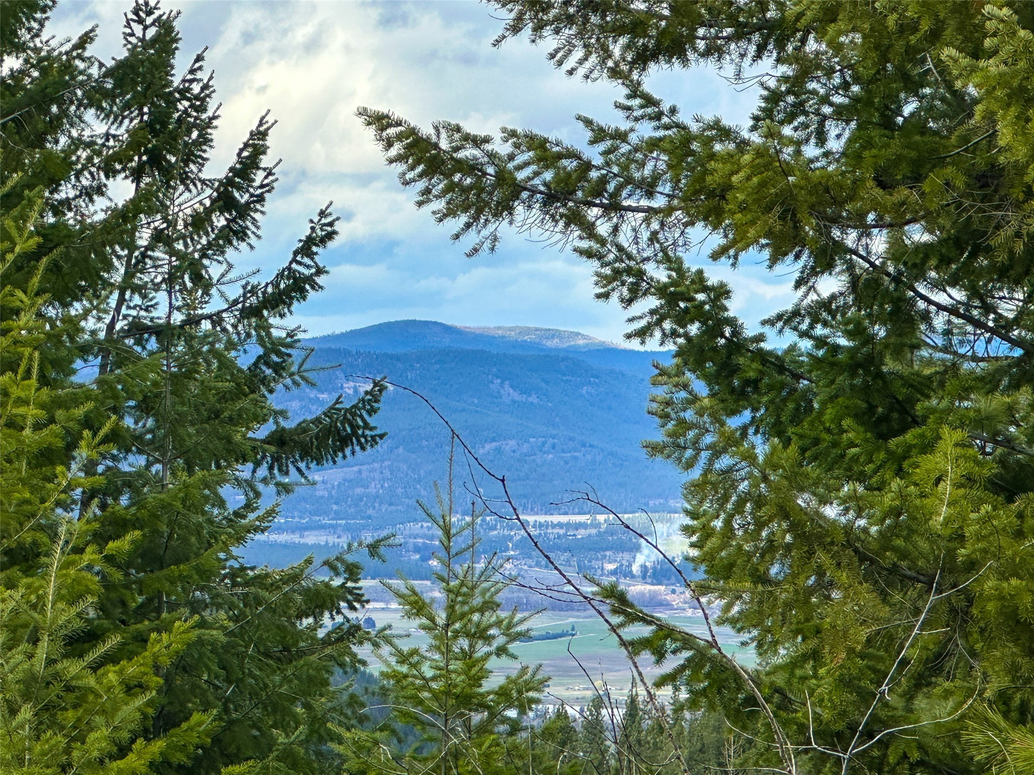 Nhn Pats Knob Road