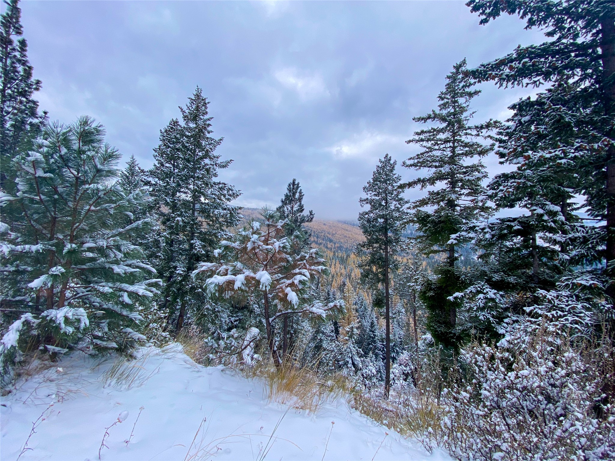 Nhn Pats Knob Road