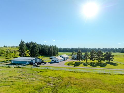 Photo of 3396 Trumble Creek Road, Columbia Falls, MT 59912 (MLS # 30053143)