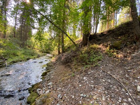 Photo of 71 Osprey Drive E, Thompson Falls, MT 59873 (MLS # 30066564)